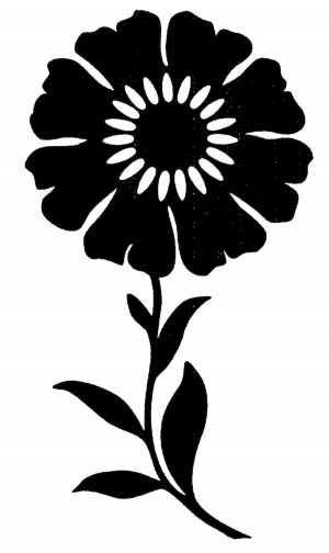 ModernBump Black And White