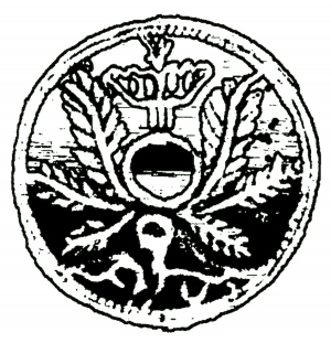 ModernBump Black And White