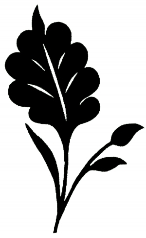 ModernBump Black And White