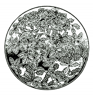 凹凸黑白-ID:457981111