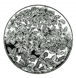 ModernBump Black And White