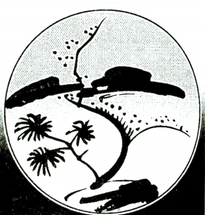 ModernBump Black And White