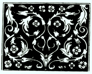 ModernBump Black And White