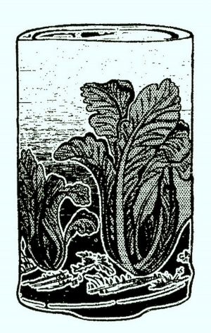 ModernBump Black And White