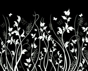 ModernBump Black And White