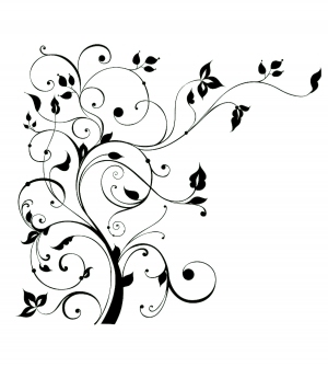 ModernBump Black And White