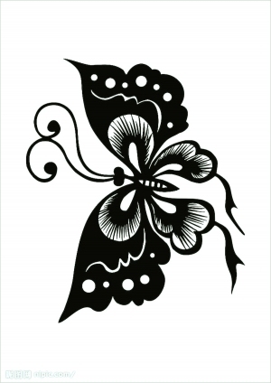 ModernBump Black And White