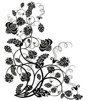 ModernBump Black And White