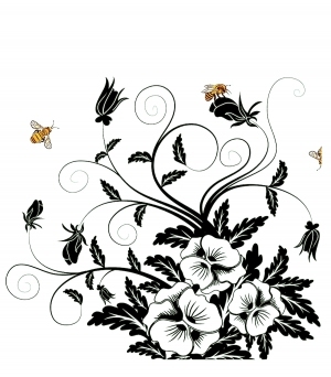 ModernBump Black And White