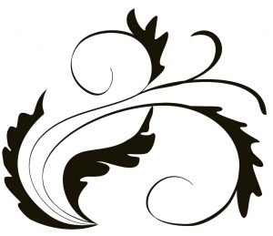 ModernBump Black And White