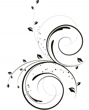 ModernBump Black And White