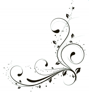 ModernBump Black And White