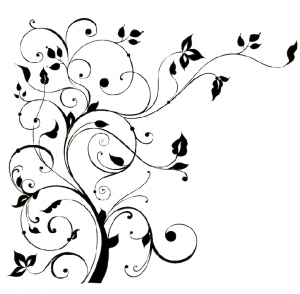 ModernBump Black And White