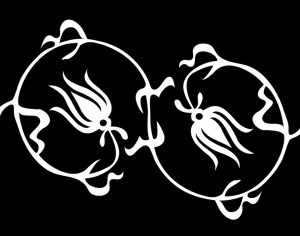 ModernBump Black And White