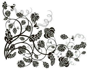 ModernBump Black And White