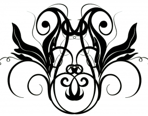 ModernBump Black And White