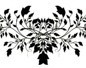 ModernBump Black And White