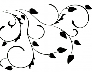 ModernBump Black And White