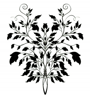 ModernBump Black And White