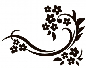 ModernBump Black And White