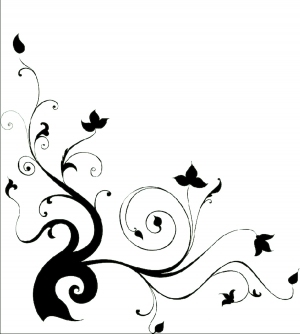 ModernBump Black And White