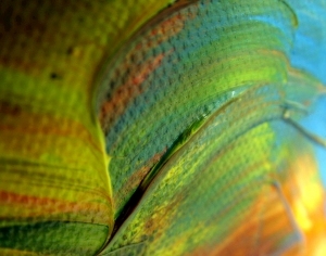 ModernAbstract Painting