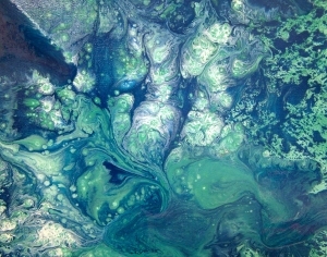 ModernAbstract Painting