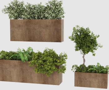 Modern Flower Bed, Flower Bowl, Flower Box-ID:558399922