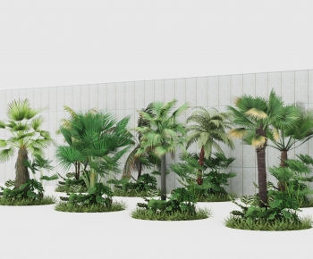 现代热带植物景观树组合-ID:441500904
