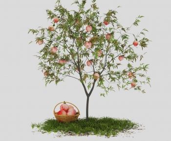 Modern Tree-ID:707735062