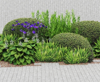 Modern Shrubbery-ID:670689119