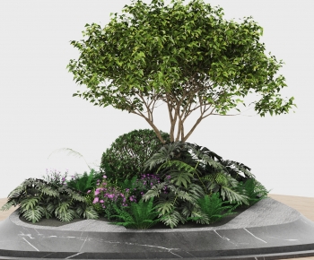 Modern Plant-ID:365510034