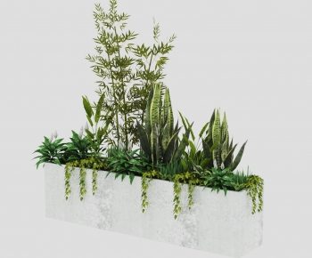 Modern Flower Bed, Flower Bowl, Flower Box-ID:223861933