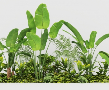 Modern Shrubbery-ID:197339064