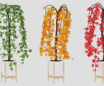 Modern Potted Green Plant-ID:981245997