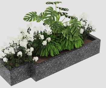 Modern Plant-ID:162172088