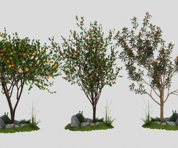 Modern Tree-ID:335199857