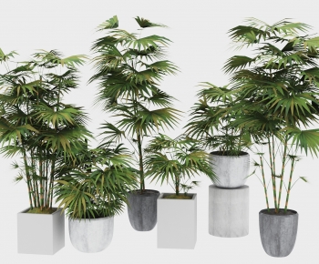 Modern Potted Green Plant-ID:189631074