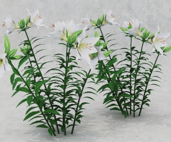 Modern Plant-ID:545741084