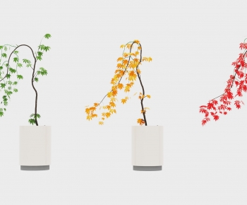 Modern Potted Green Plant-ID:120134125