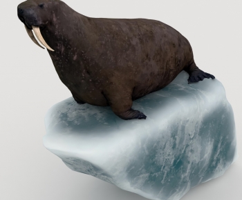 Modern Aquatic Animals-ID:712909758