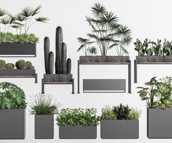 Modern Flower Bed, Flower Bowl, Flower Box-ID:418237929