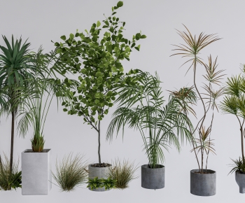 Modern Ground Green Plant Potted Plants-ID:175542125