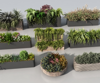 Modern Flower Bed, Flower Bowl, Flower Box-ID:656874901