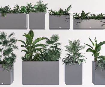Modern Flower Bed, Flower Bowl, Flower Box-ID:997076033