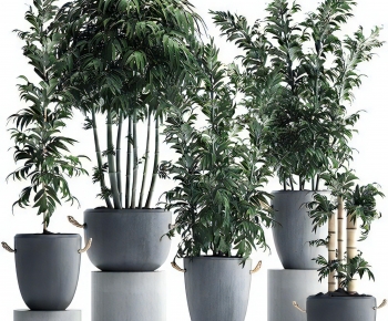 Modern Ground Green Plant Potted Plants-ID:470244888