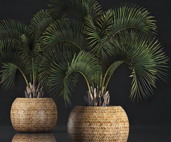 Modern Ground Green Plant Potted Plants-ID:372560028