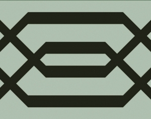 ModernBump Black And White