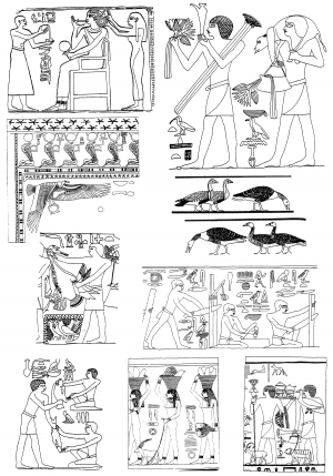 Chinese Style Classical StyleBump Black And White