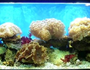 浴缸贴图-ID:873747111